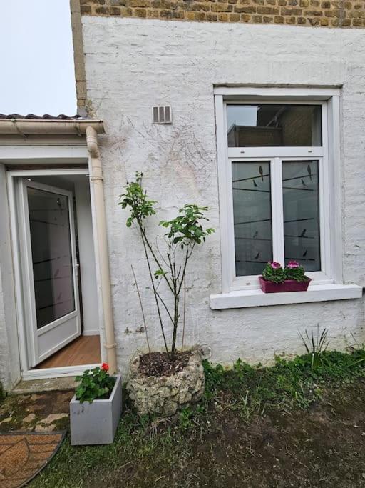Studio Avec Jardin Rosendael Proche Plage Dunkirk ภายนอก รูปภาพ